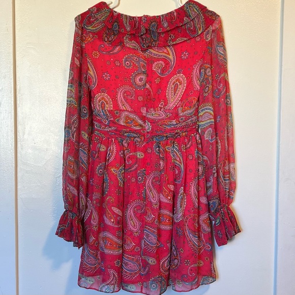 Betsy Johnson silk pink paisley dress - Picture 5 of 17